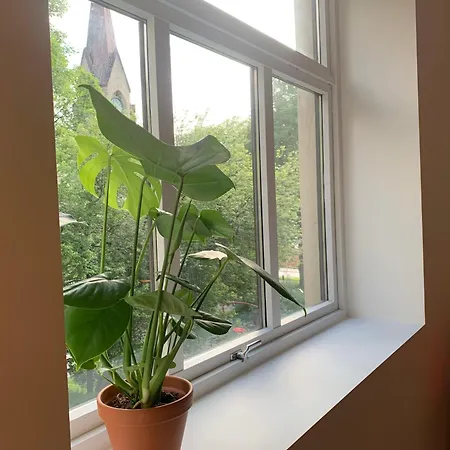 Cozy Scandinavian Design Bergen